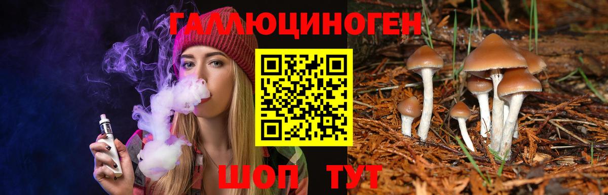 Галлюциногенные грибы Psilocybe Димитровград