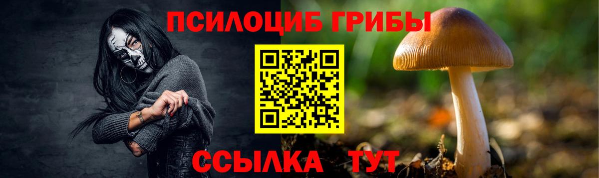 что такое наркотик  Псилоцибиновые грибы мицелий  Псилоцибиновые грибы мухоморы  Вход с VPN  Димитровград 